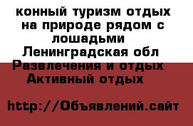 конный туризм,отдых на природе рядом с лошадьми - Ленинградская обл. Развлечения и отдых » Активный отдых   